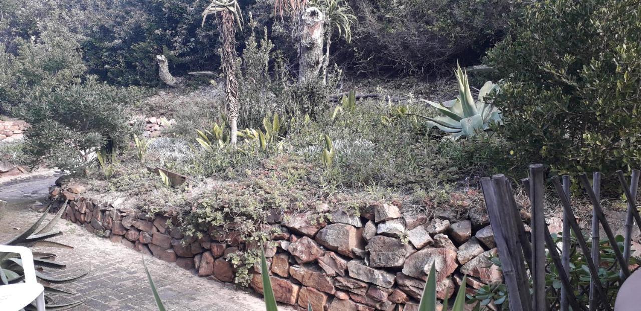Crashing Waves Self Catering Unit Hotell Port Alfred Eksteriør bilde